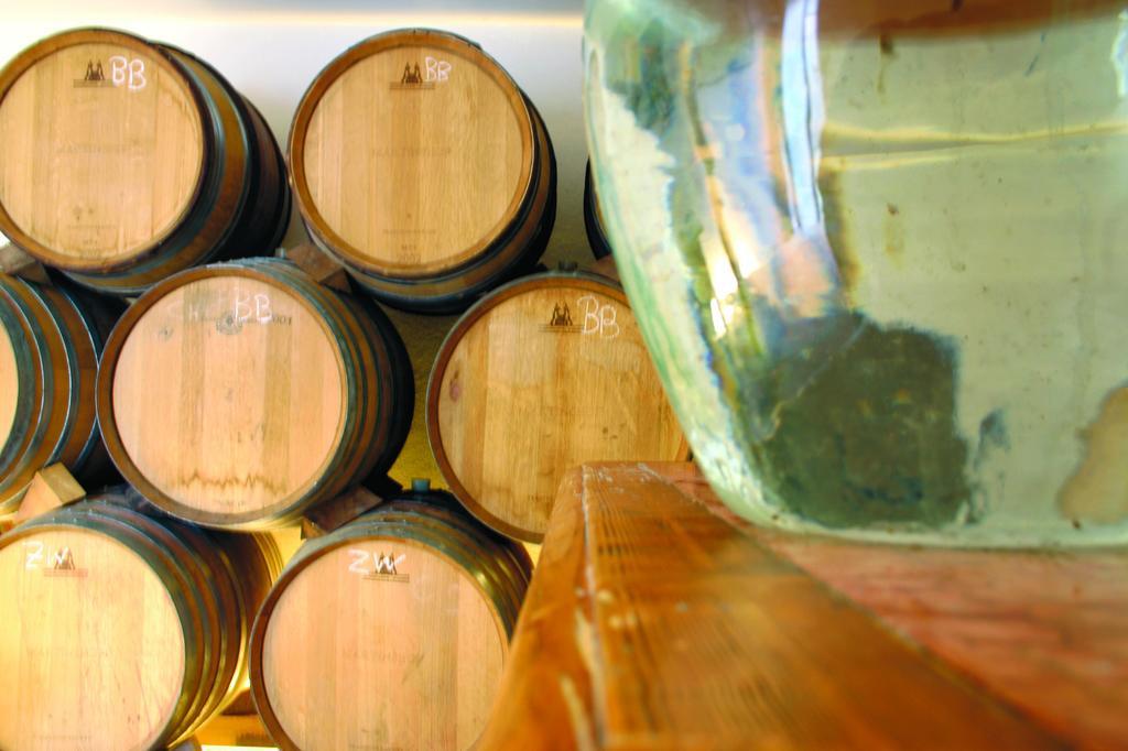 Weingut Martinshof Hotel Sankt Ulrich  Kültér fotó