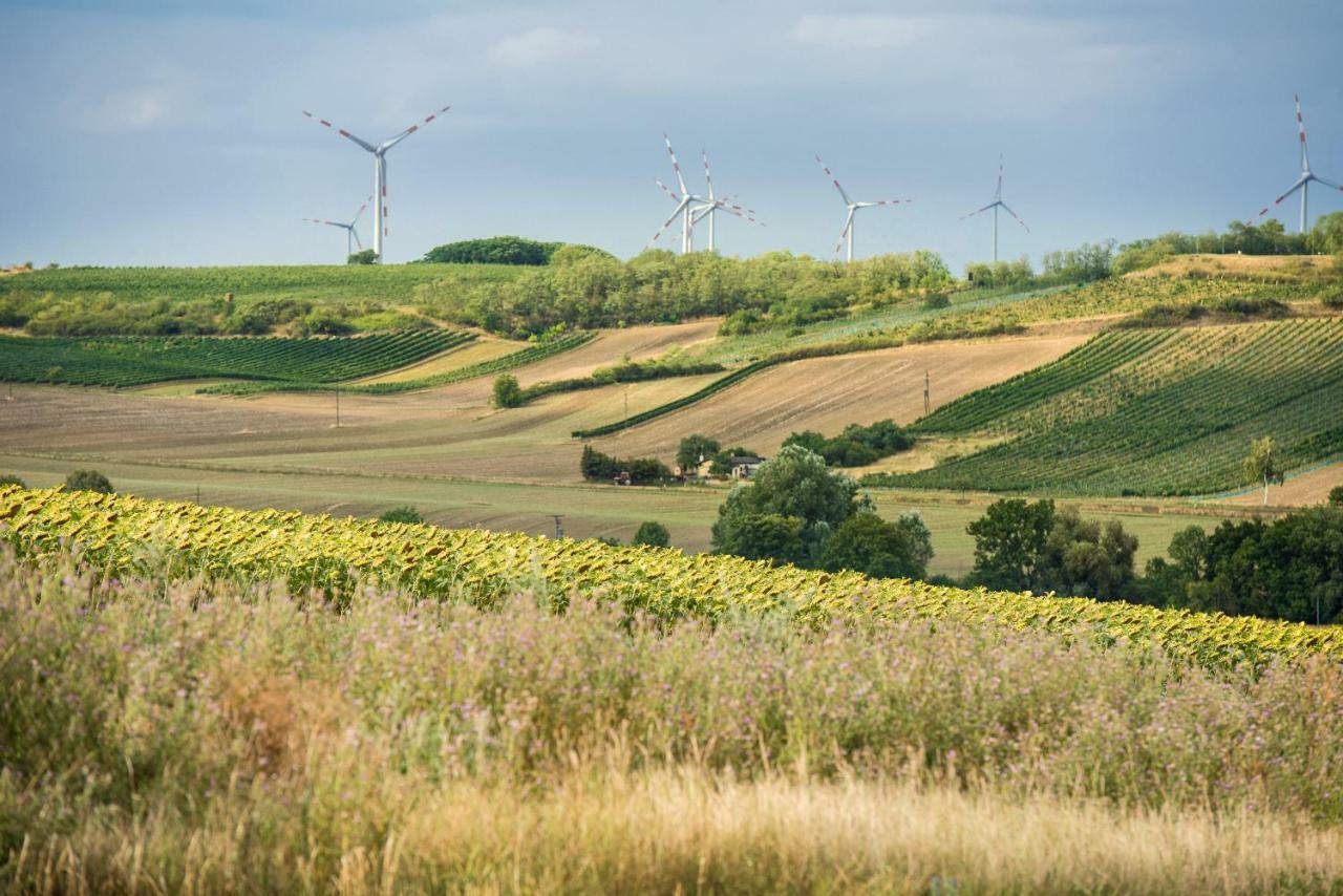 Weingut Martinshof Hotel Sankt Ulrich  Kültér fotó